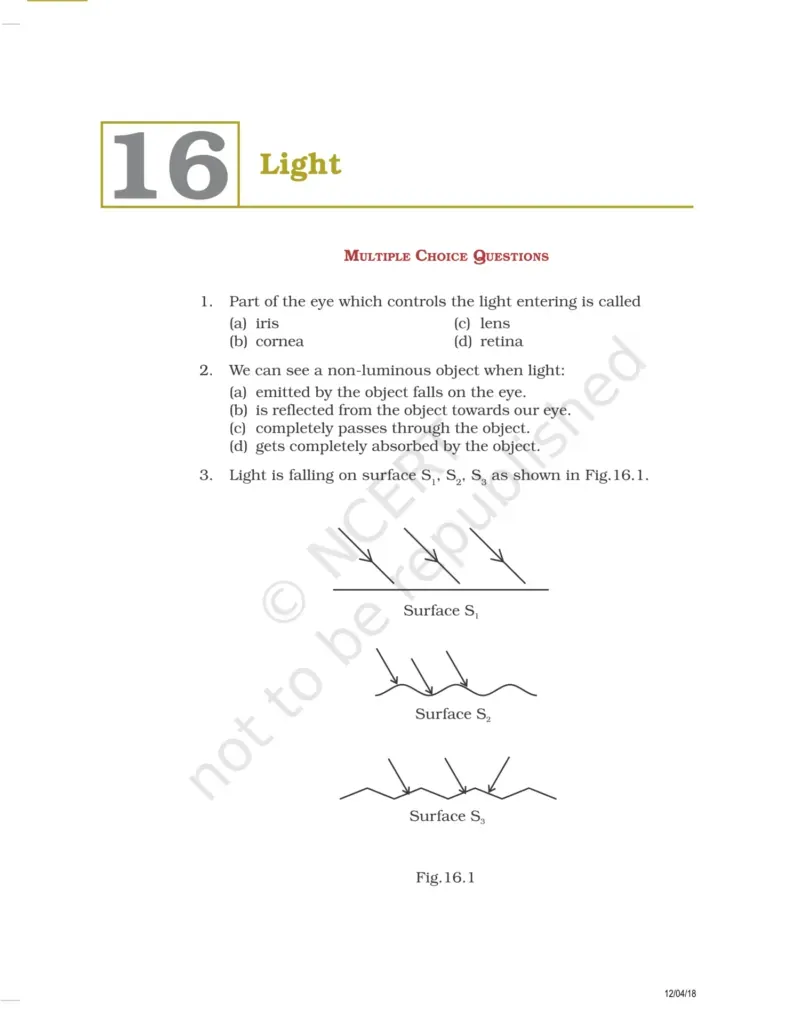 NCERT Exemplar Class 8 Science Chapter 16 Image 1