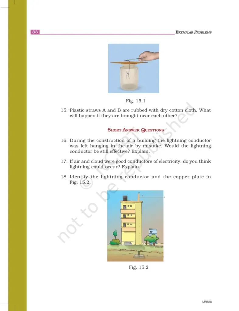 NCERT Exemplar Class 8 Science Chapter 15 Image 3