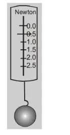 A force can deform an object.1