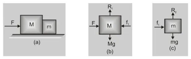 Free Body Diagram