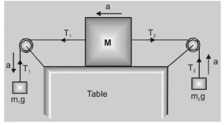What is Pulley11