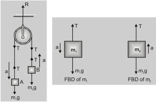 What is Pulley4