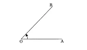 Lines and Angles 6