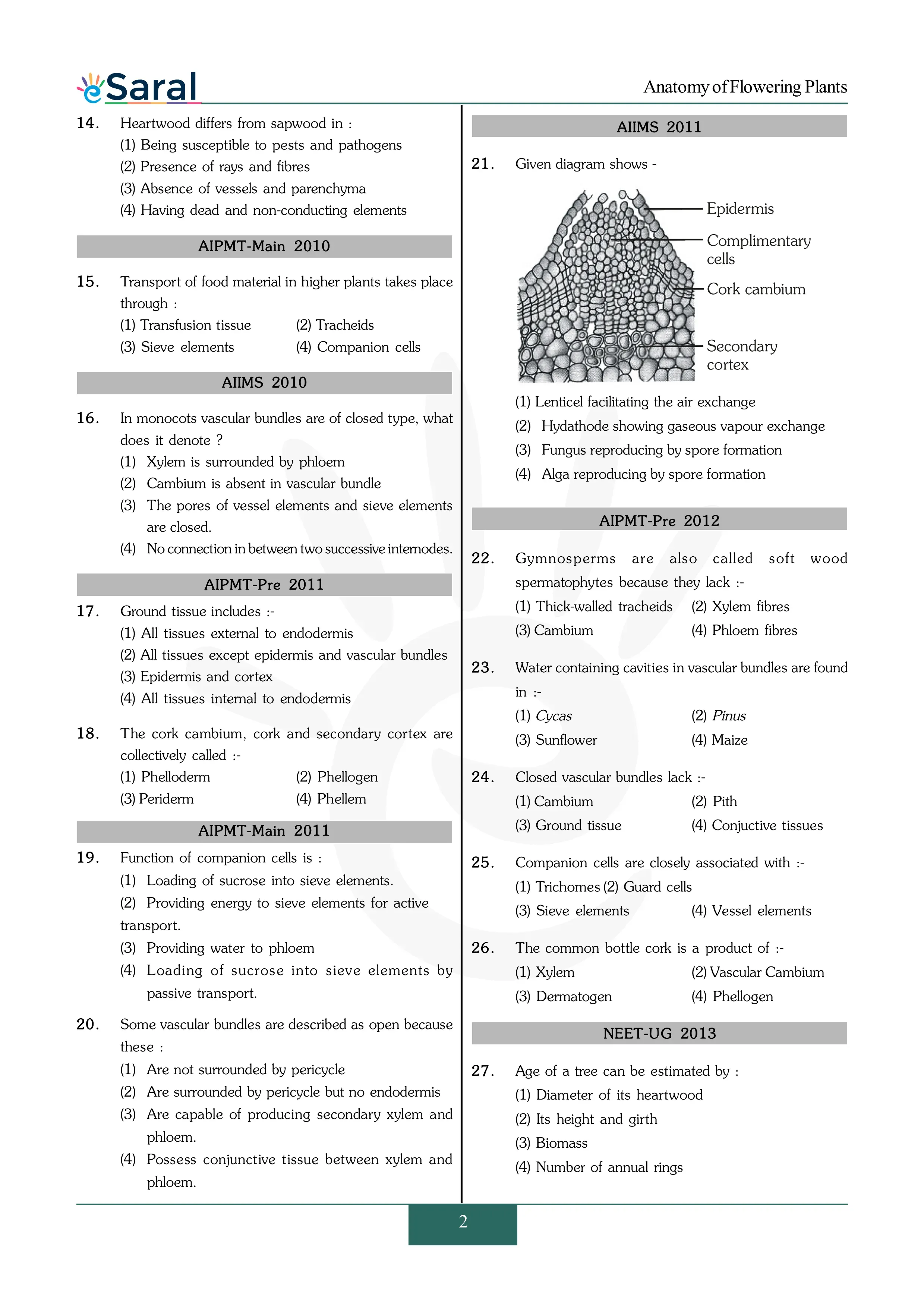 Anatomy of Flowering Plants -