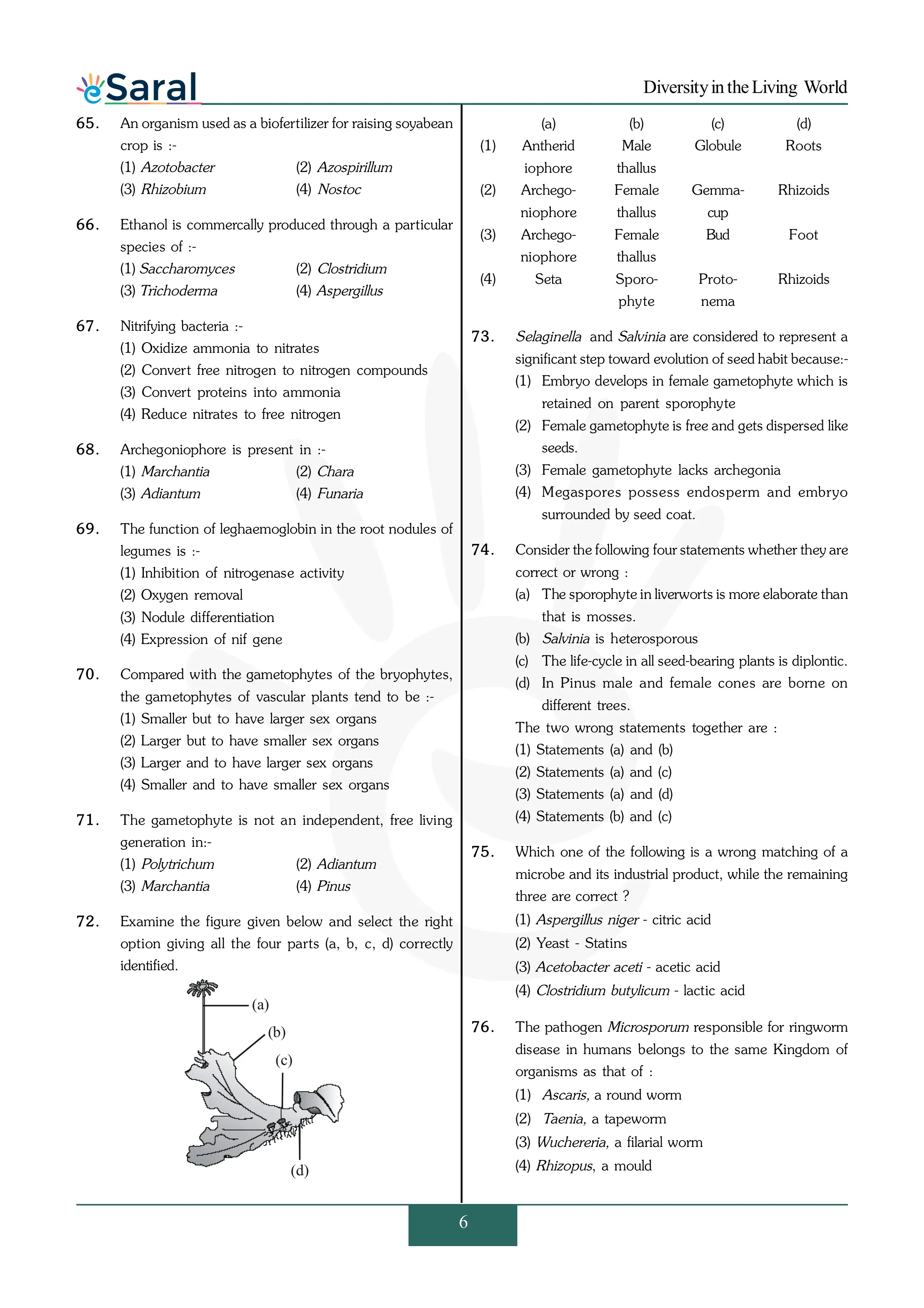 Diversity in the Living World - NEET Previous Year Questions with Complete Solutions