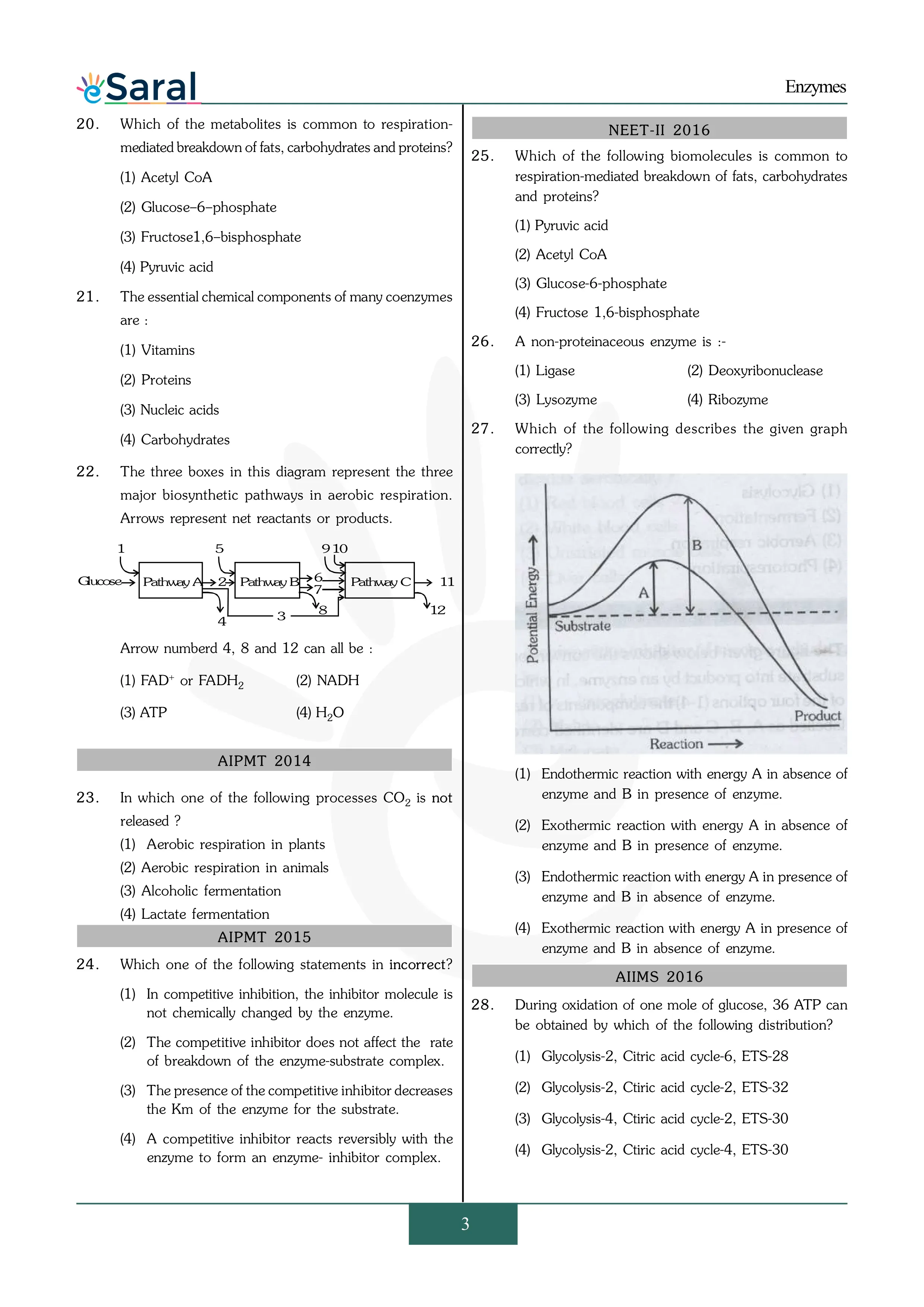 Enzymes NEET Previous Year Questions & Solutions