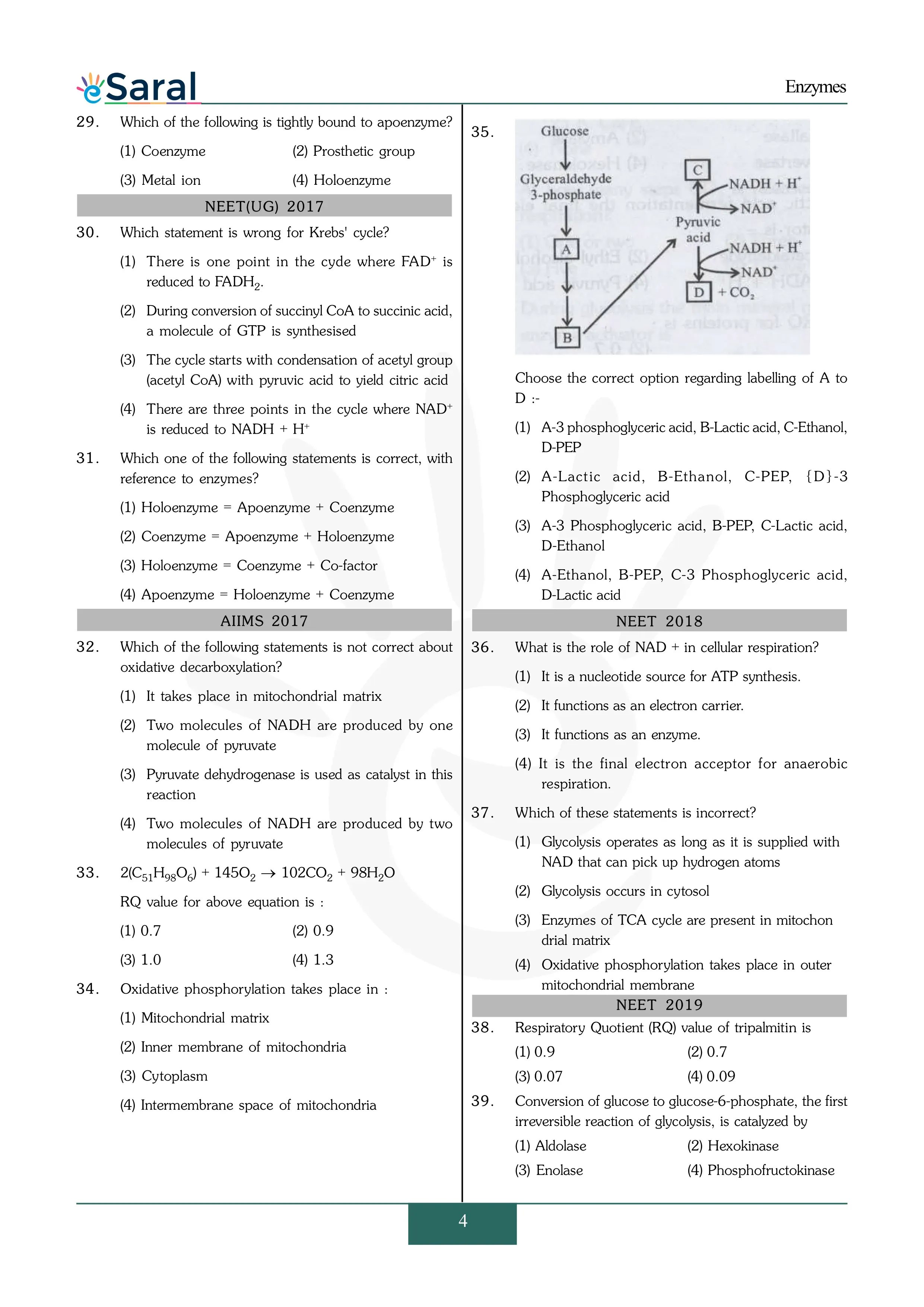 Enzymes NEET Previous Year Questions & Solutions