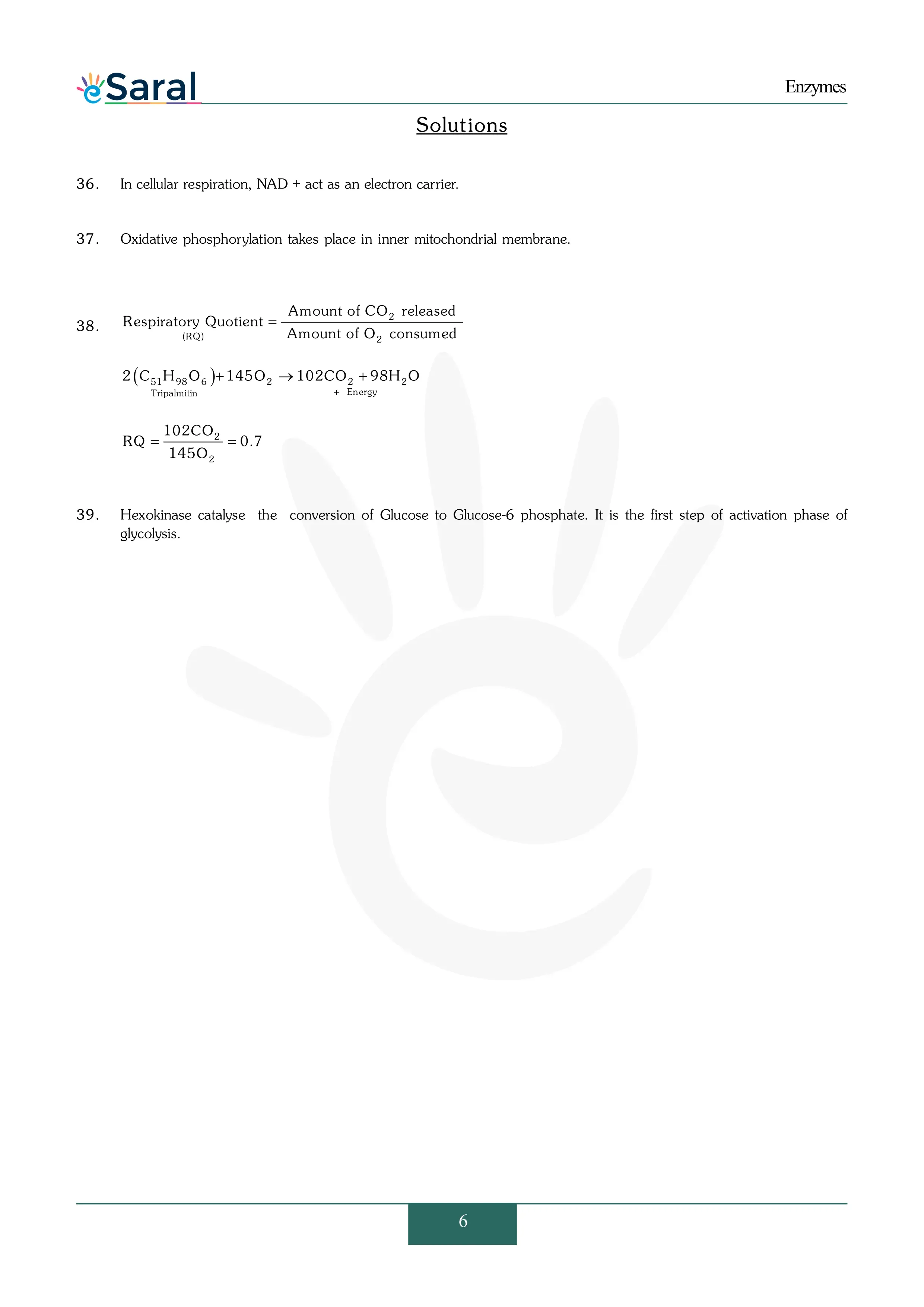 Enzymes NEET Previous Year Questions & Solutions