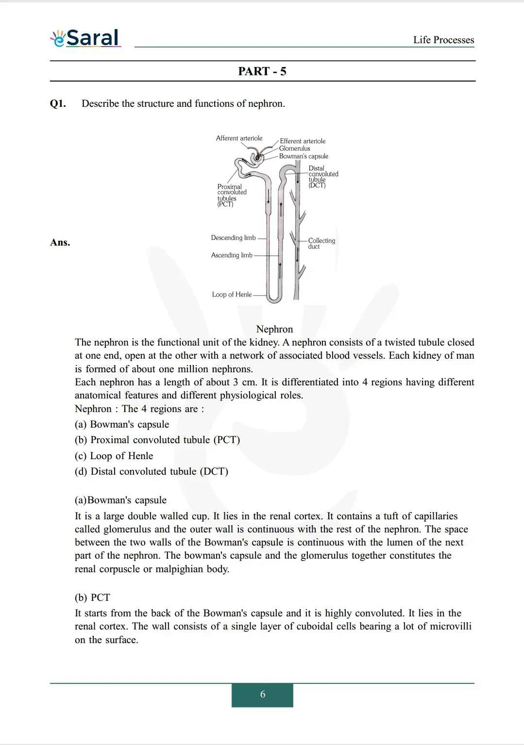 NCERT Solutions for Class 10 Science Chapter 6 Image 6