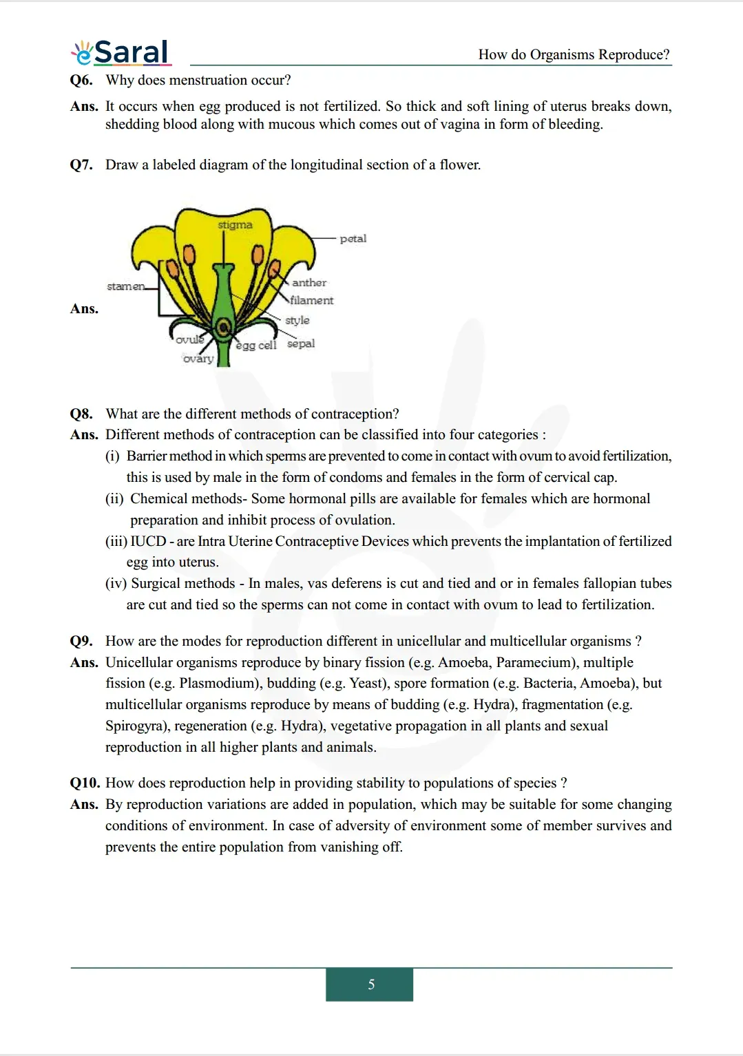 Solutions Image 5