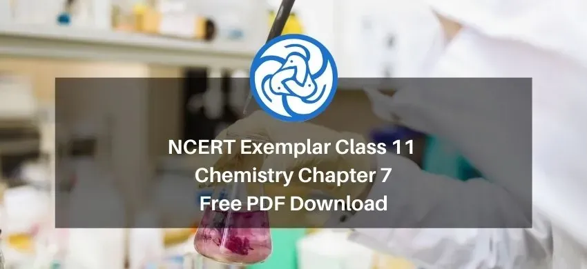 NCERT Exemplar Class 11 Chemistry Chapter 7 - Equilibrium