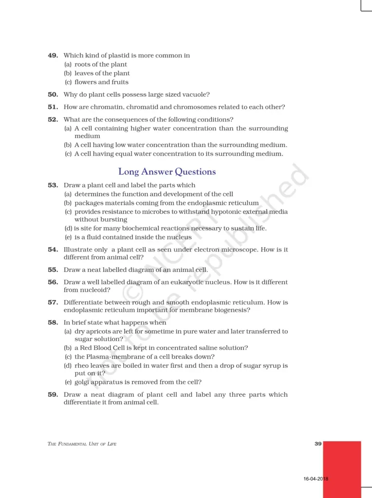 NCERT Exemplar Image 7