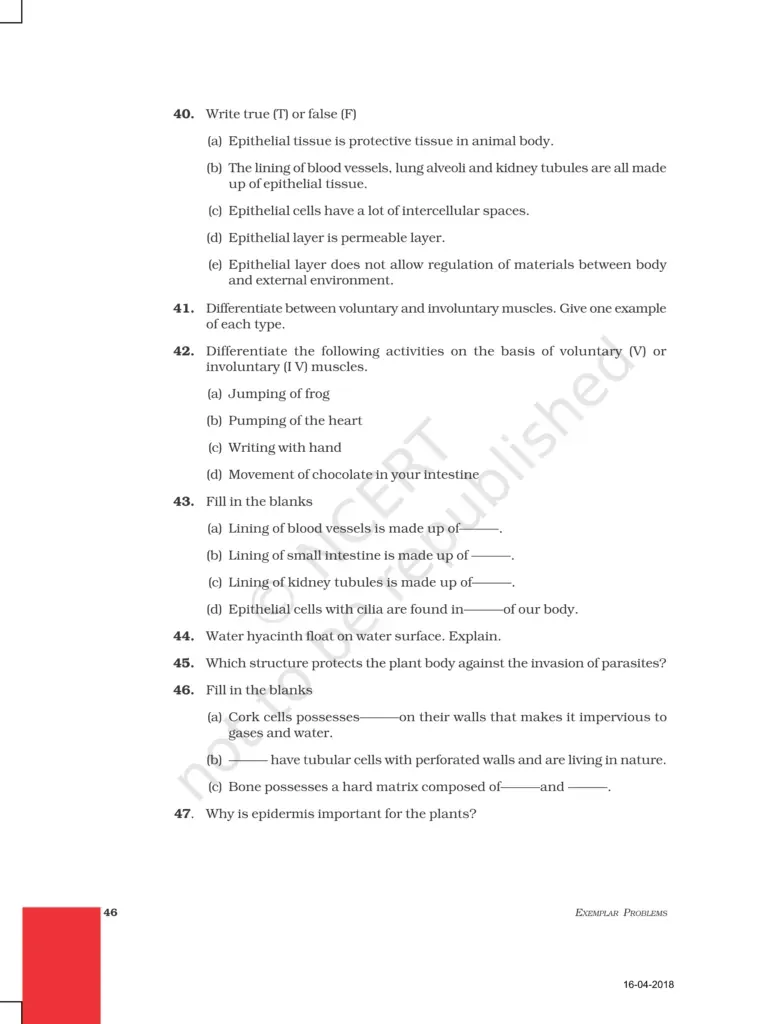 NCERT Exemplar Image 7
