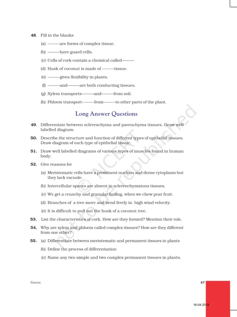NCERT Exemplar Image 8