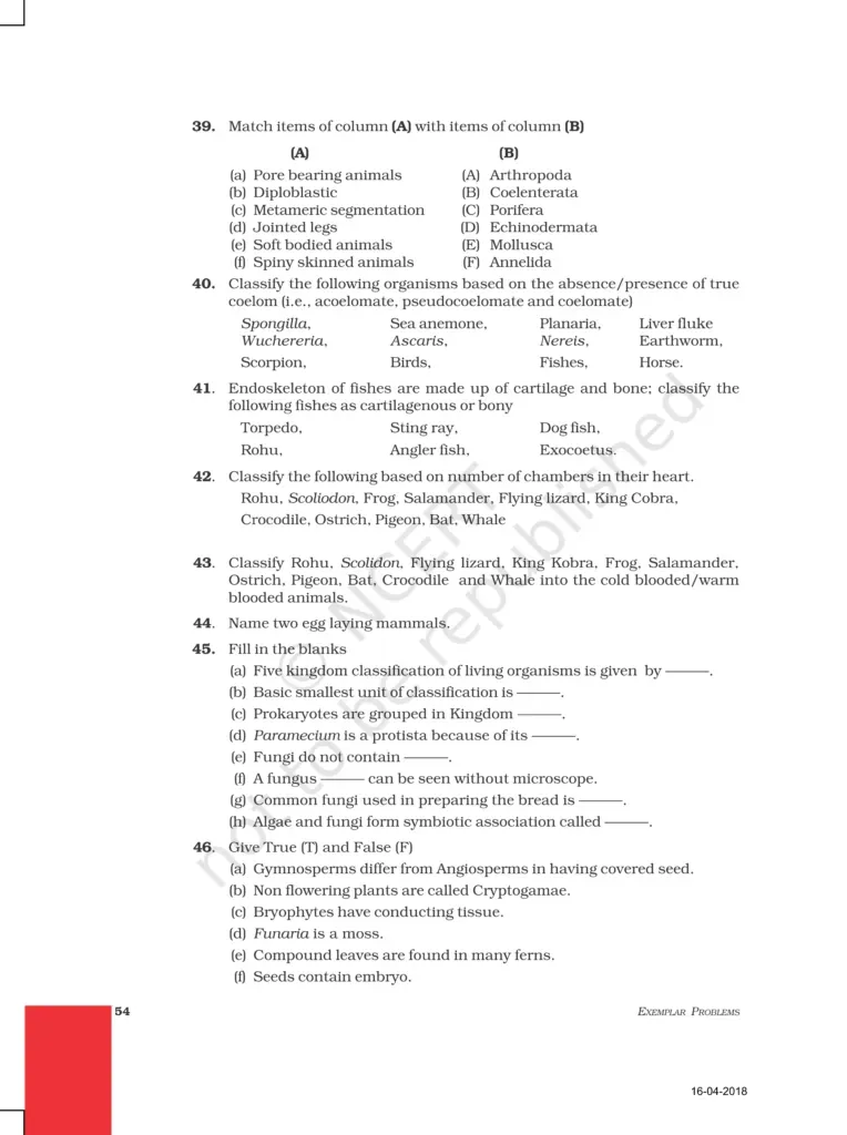 NCERT Exemplar Image 7