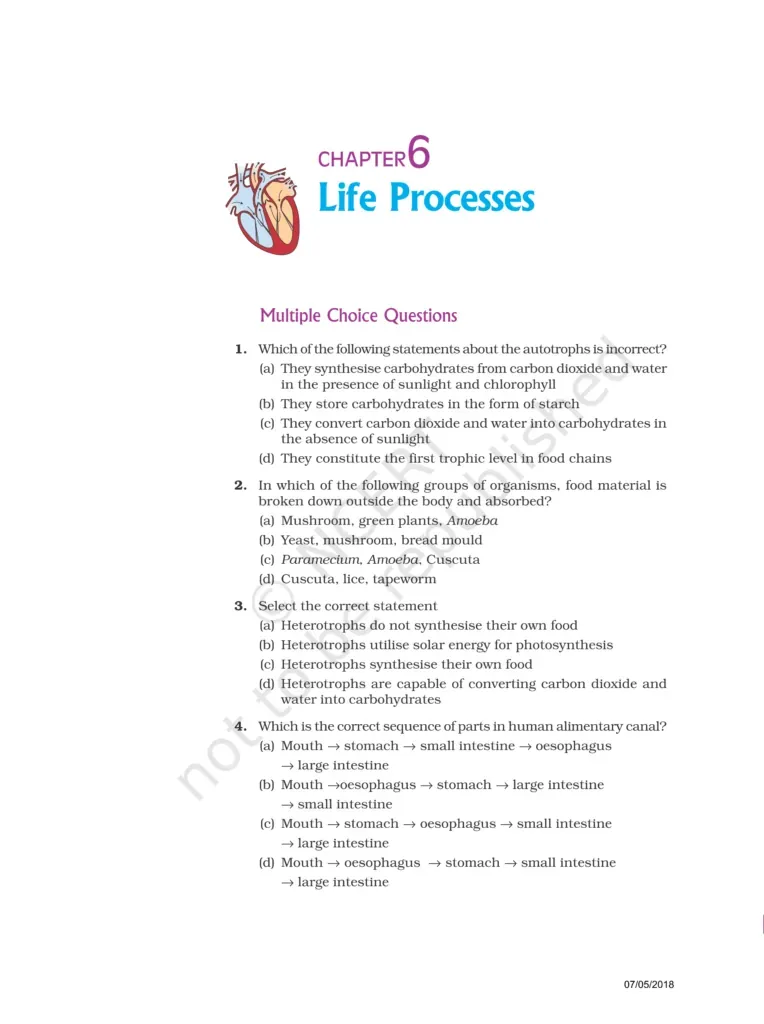 NCERT Exemplar Class 10 Science Chapter 6 Image 1