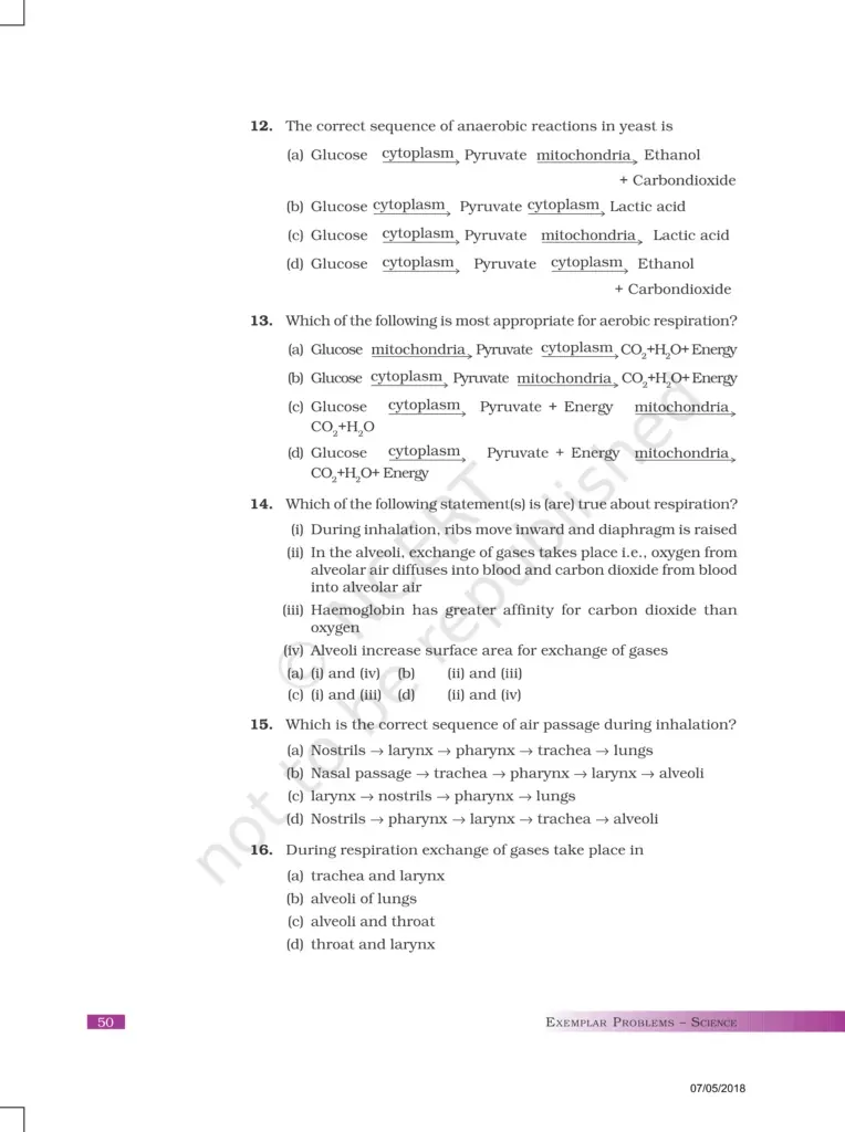 NCERT Exemplar Class 10 Science Chapter 6 Image 3