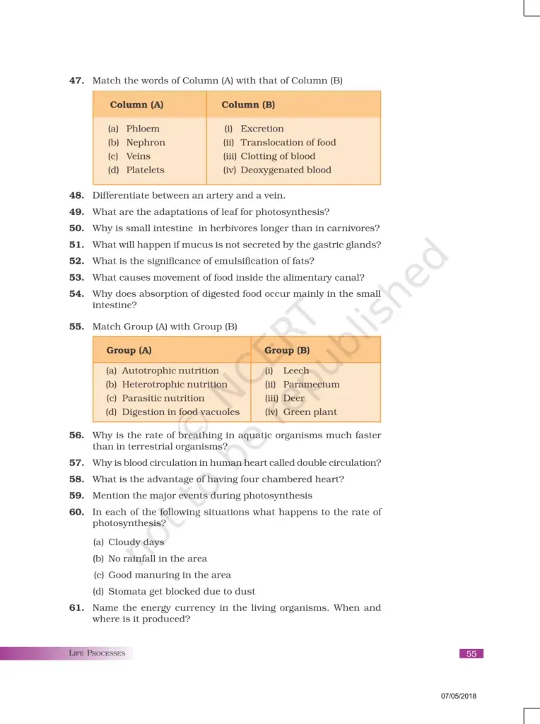NCERT Exemplar Image 8