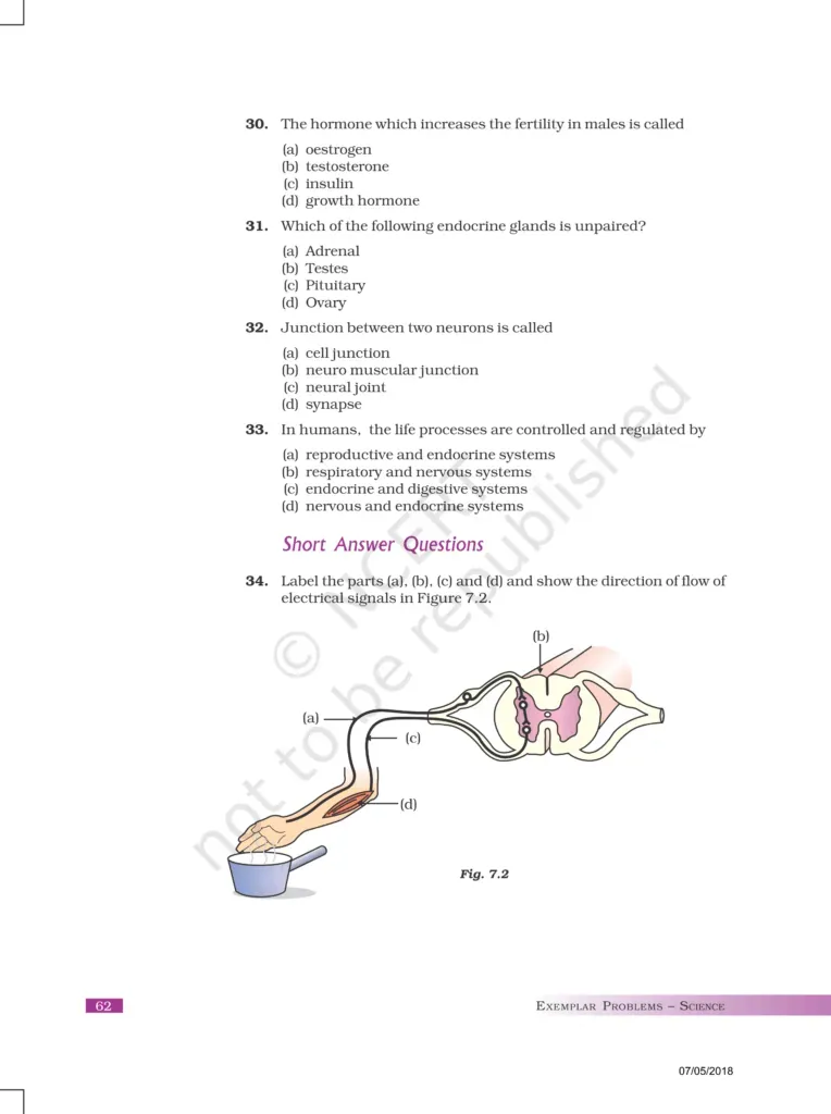 NCERT Exemplar Image 6