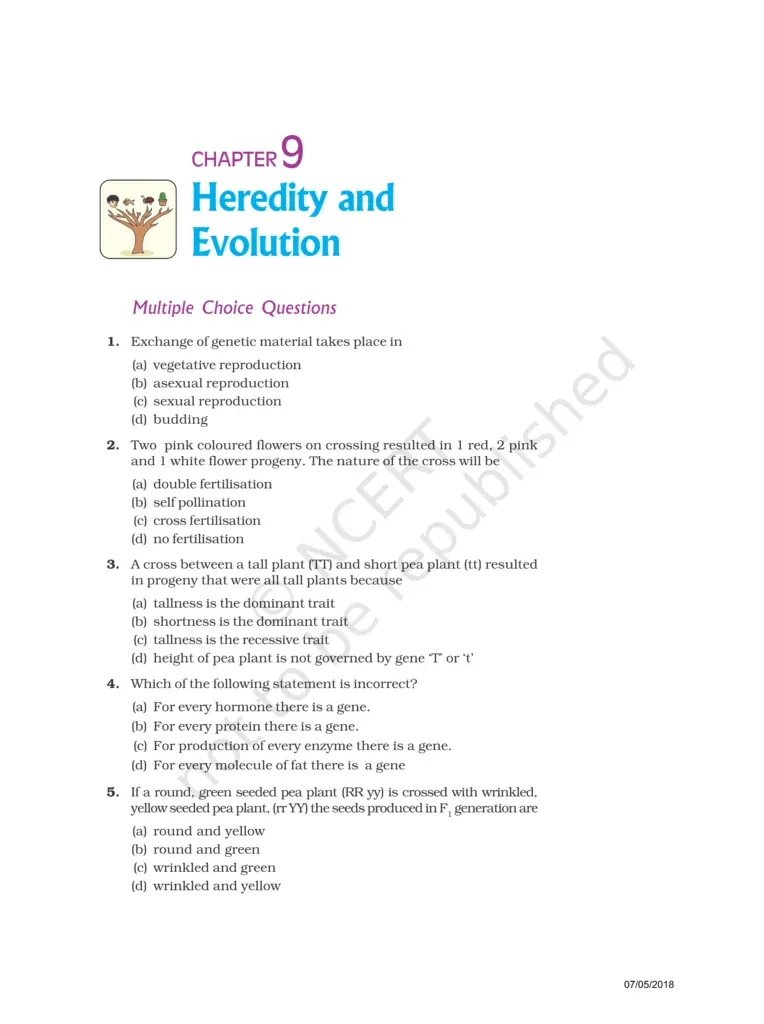 NCERT Exemplar Class 10 Science Chapter 9 Image 1