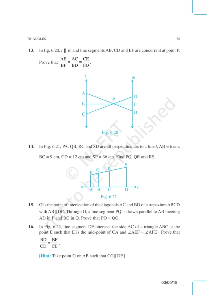 NCERT Exemplar Image 17
