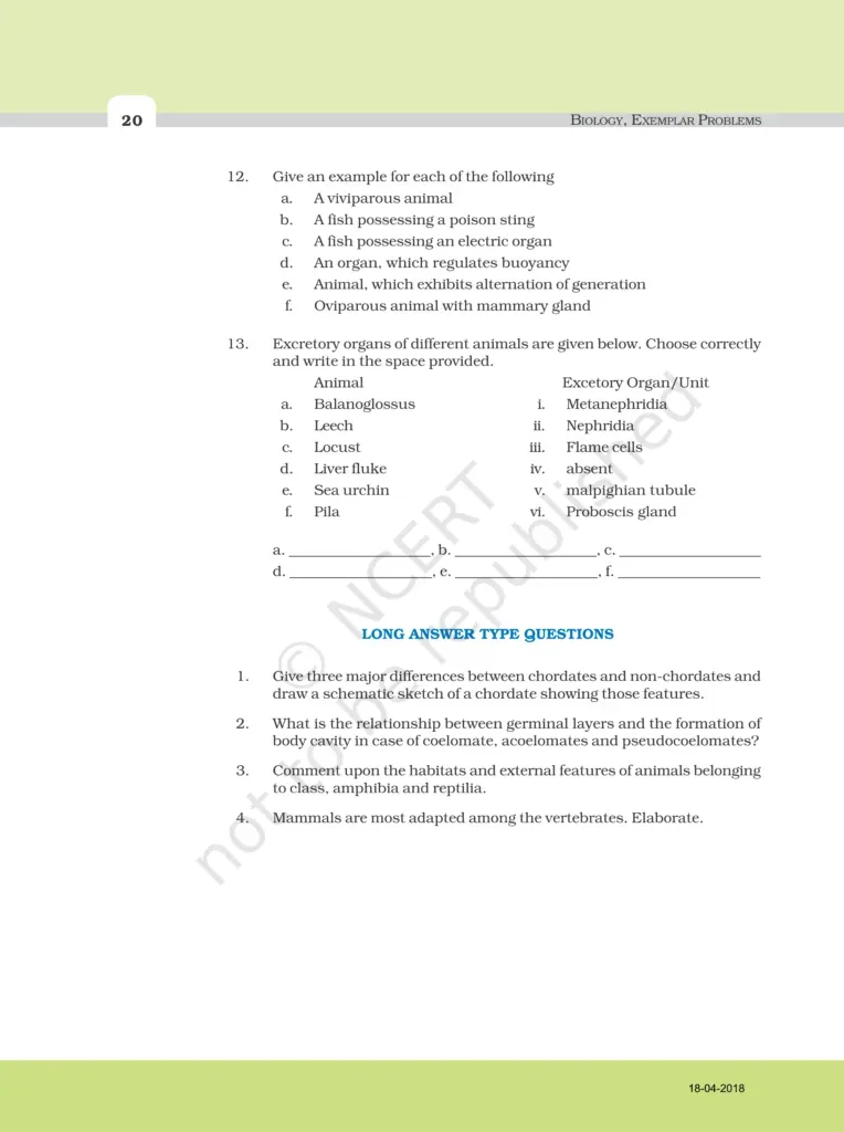 NCERT Exemplar Image 7