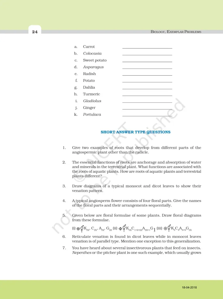 NCERT Exemplar Class 11 Biology Chapter 5 Image 4