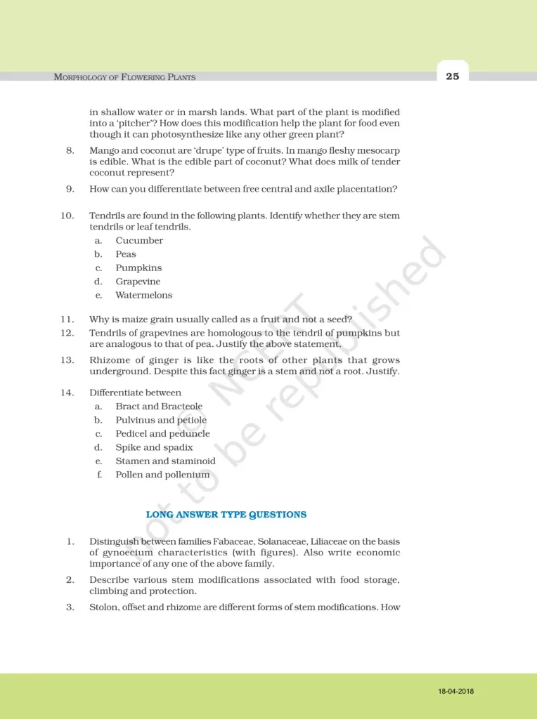 NCERT Exemplar Image 5