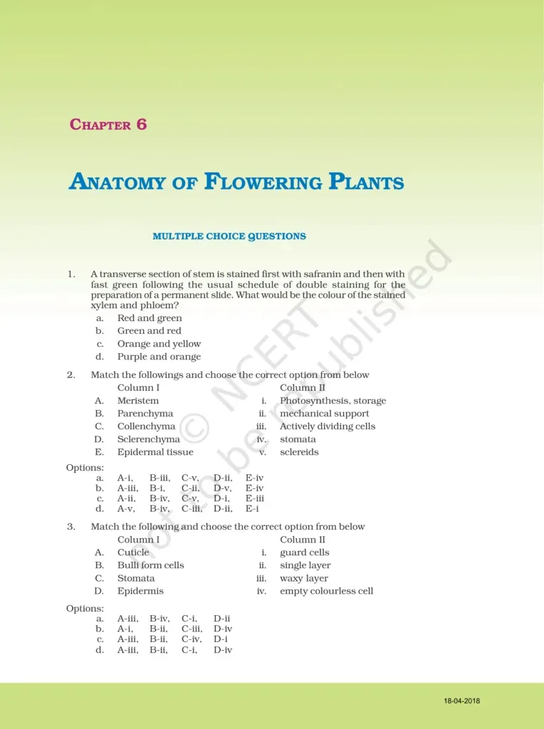 NCERT Exemplar Class 11 Biology Chapter 6 Image 1