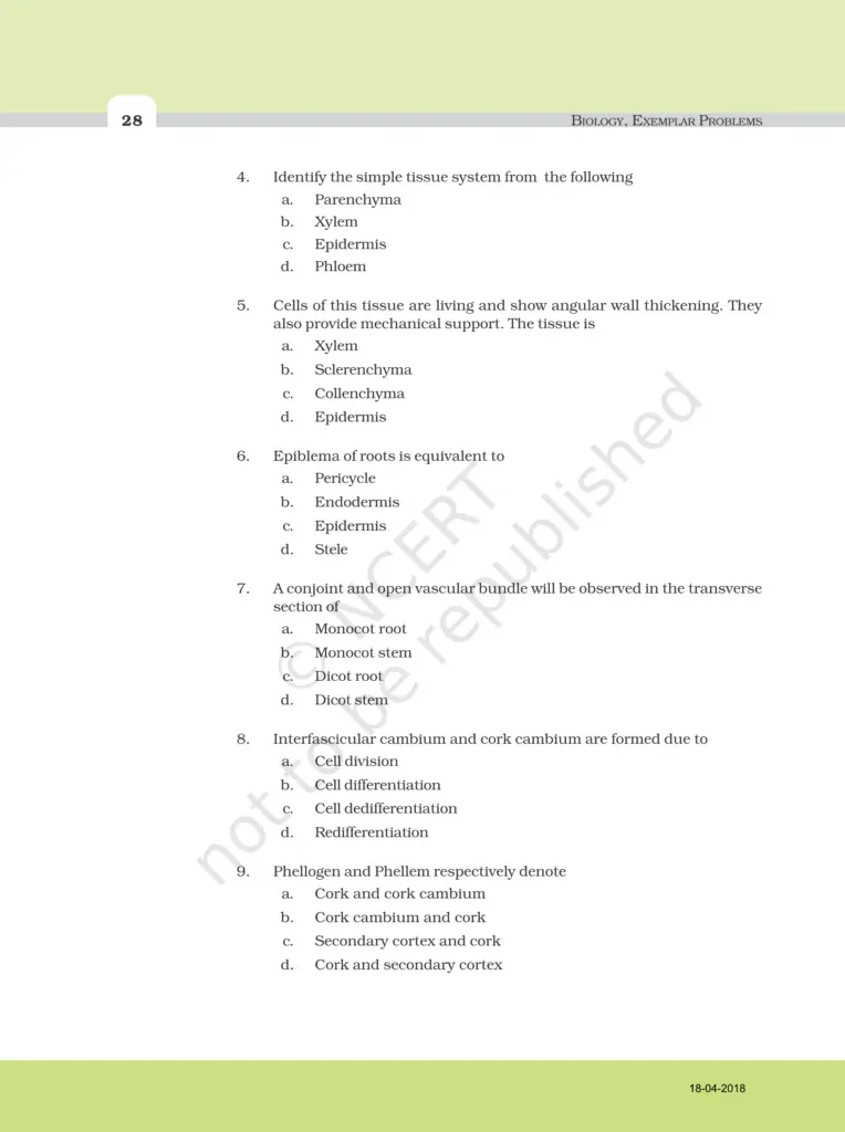 NCERT Exemplar Class 11 Biology Chapter 6 Image 2