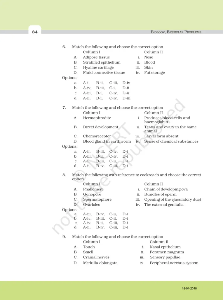 NCERT Exemplar Class 11 Biology Chapter 7 Image 2