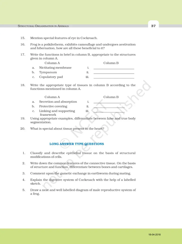 NCERT Exemplar Image 5