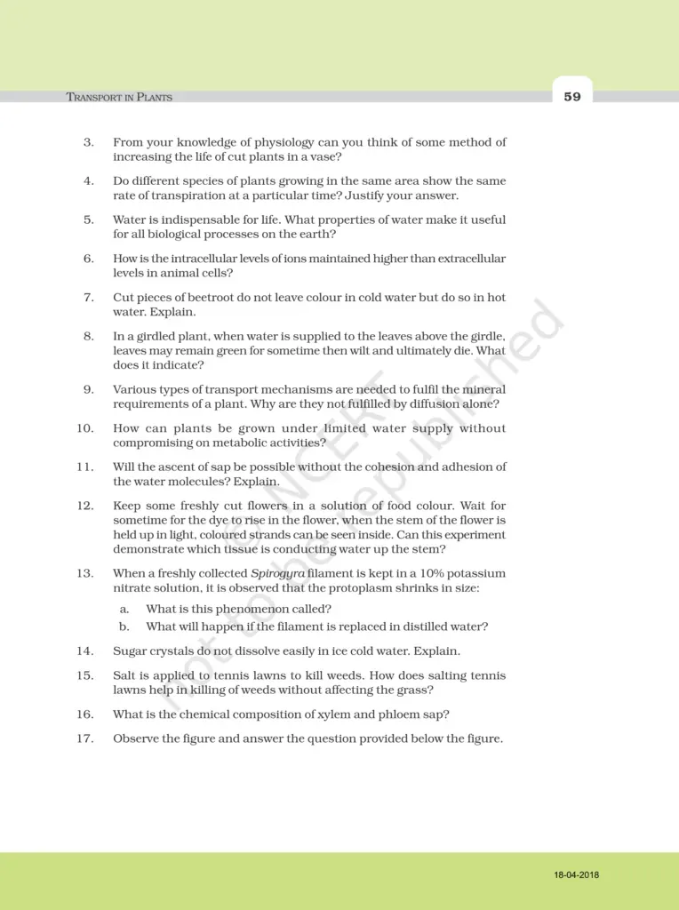 NCERT Exemplar Class 11 Biology Chapter 11 Image 6