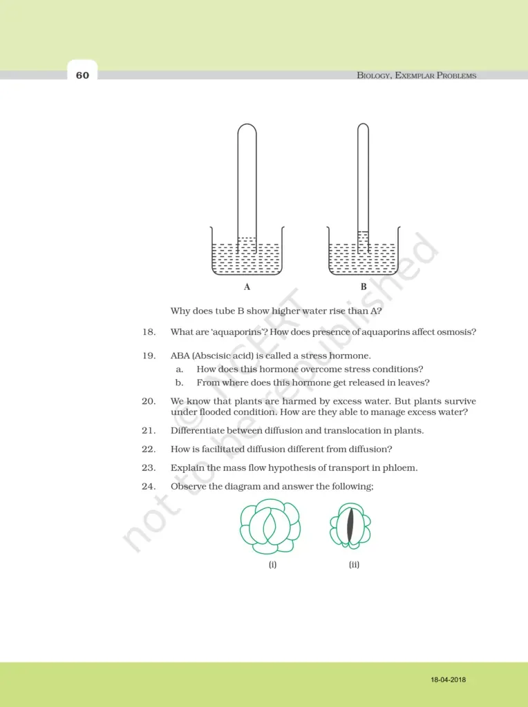NCERT Exemplar Image 7