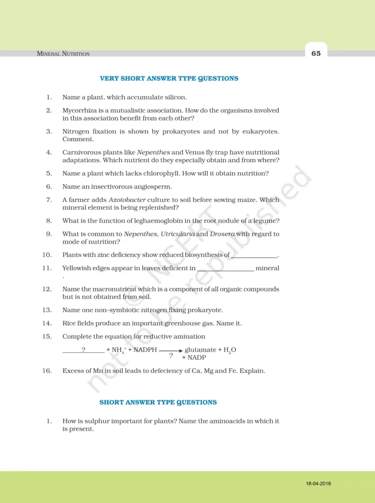 NCERT Exemplar Class 11 Biology Chapter 12 Image 3