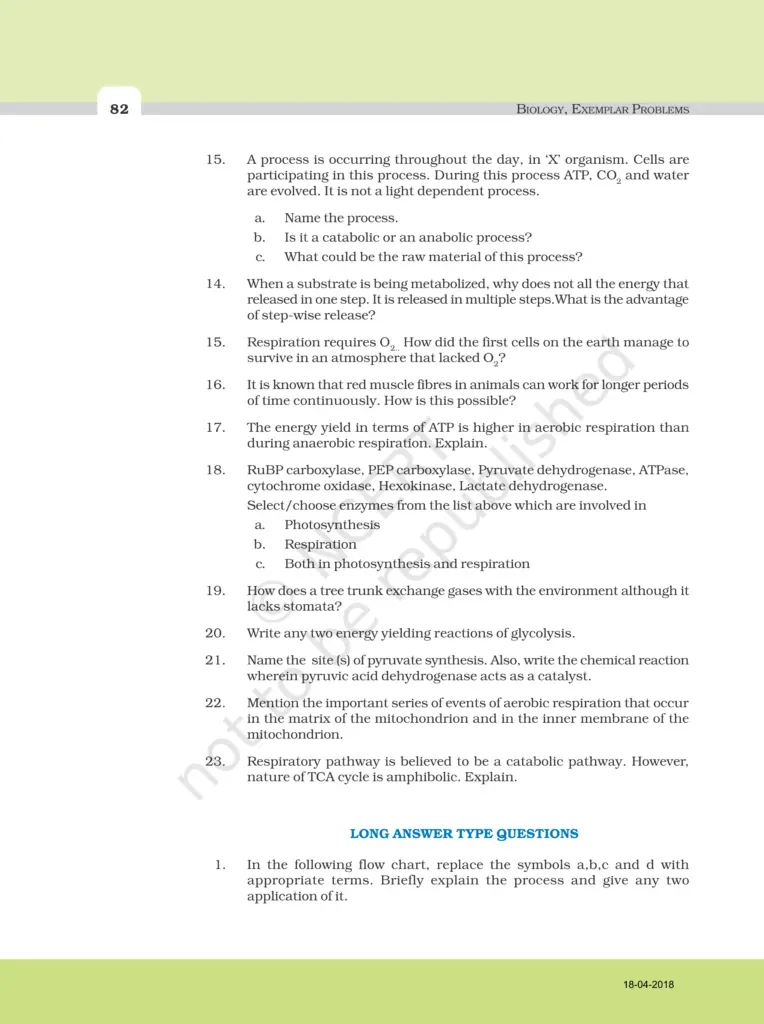 NCERT Exemplar Image 6