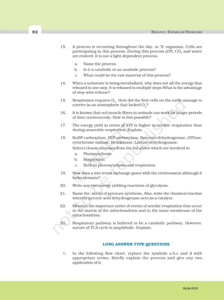 NCERT Exemplar Image 6