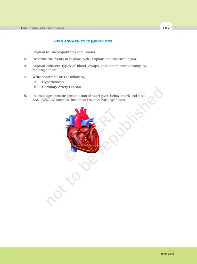 NCERT Exemplar Image 7