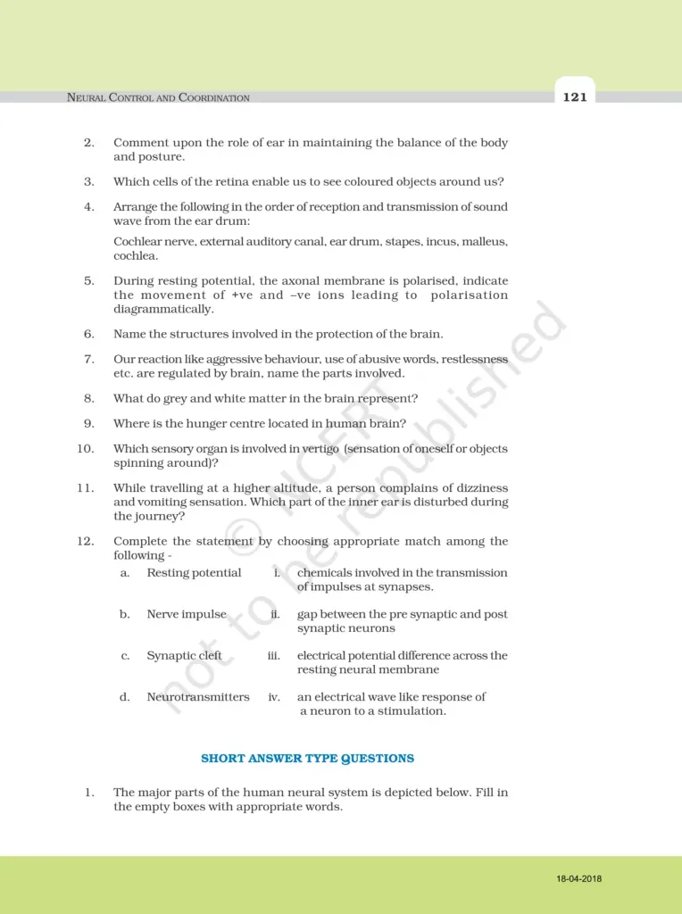 NCERT Exemplar Image 3