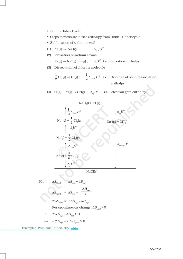 NCERT Exemplar image 17