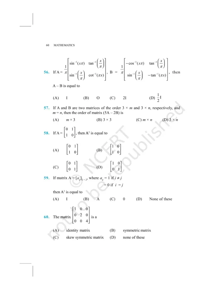 NCERT Exemplar Image 19