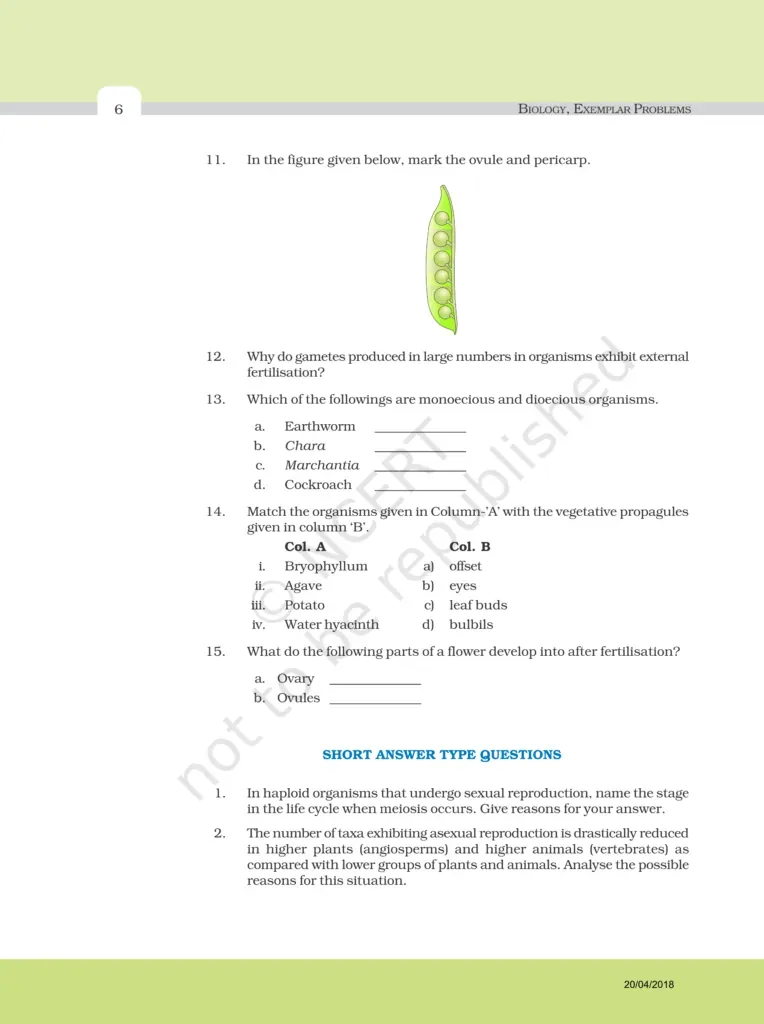 NCERT Exemplar Image 6