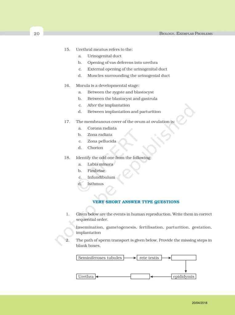 NCERT Exemplar Class 12 Biology Chapter 3 Image 4