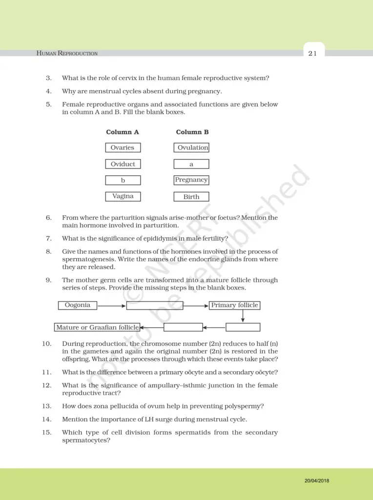 NCERT Exemplar Class 12 Biology Chapter 3 Image 5