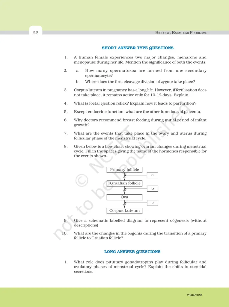 NCERT Exemplar Image 6