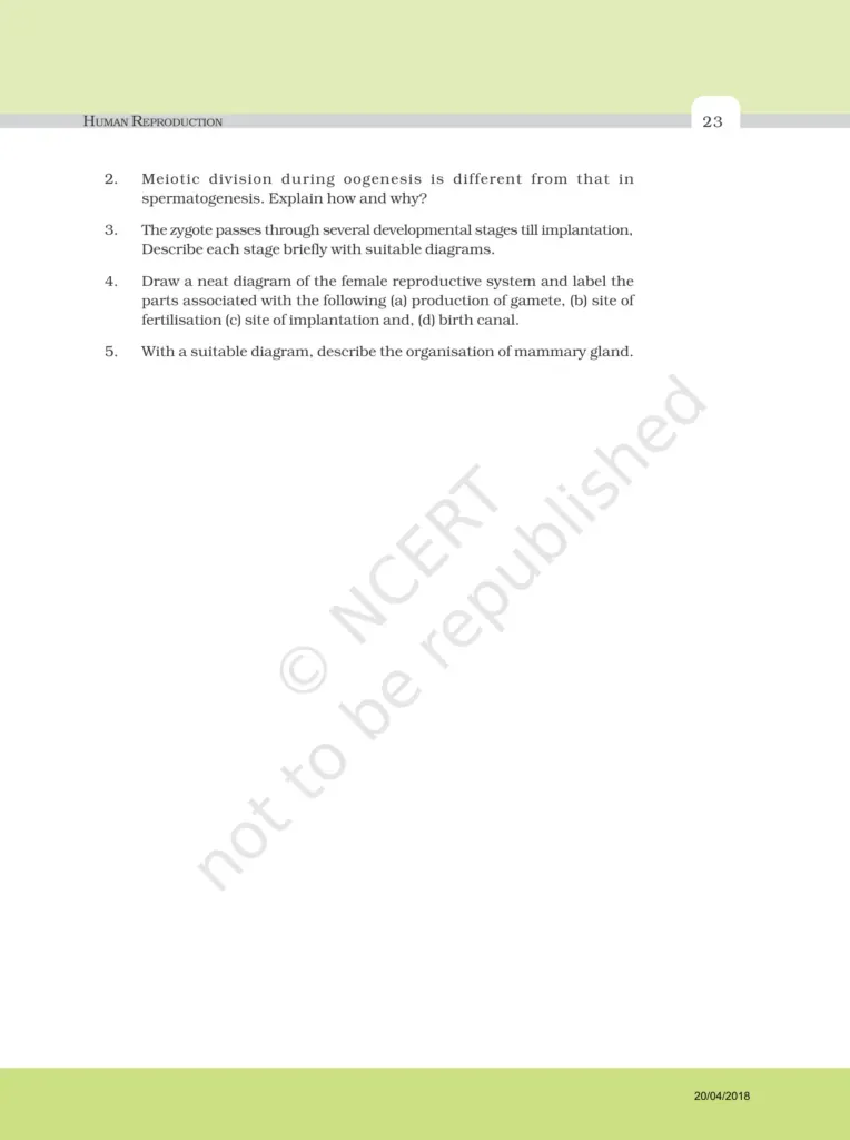 NCERT Exemplar Image 7