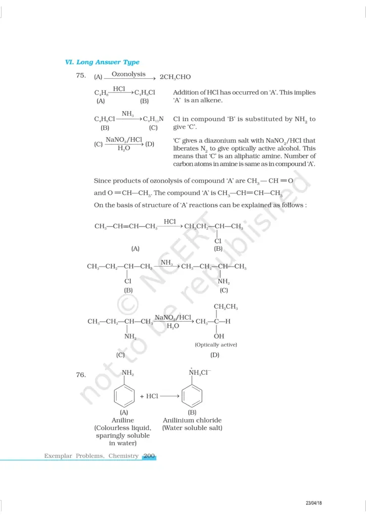 NCERT Exemplar Image 21
