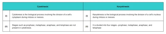 NCERT Solutions for Class 11 Biology chapter 10 Cell Cycle and Cell Division PDF Image 1