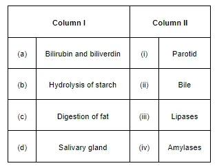 NCERT Solutions for Class 11 Biology chapter 16 Digestion and Absorption PDF Image 1
