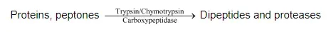 NCERT Solutions for Class 11 Biology chapter 16 Digestion and Absorption PDF Image